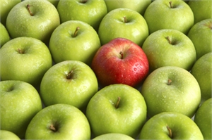 Apples illustration of medical website design search engine optimization.